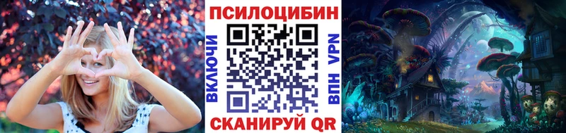 Псилоцибиновые грибы Psilocybe что такое нарко площадка какой сайт Нижний Ломов KRAKEN ТОР